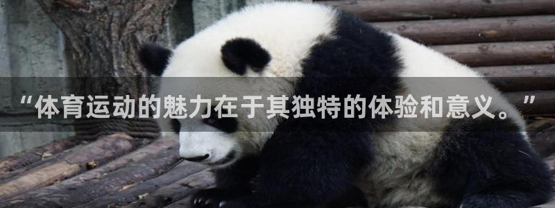 77体育官网