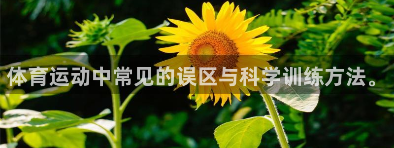 77体育