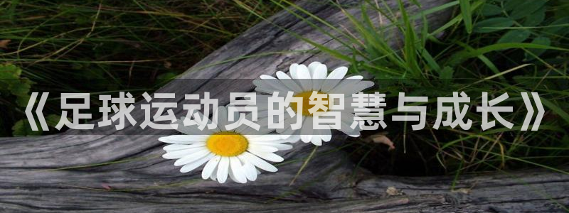 77体育app下载官网