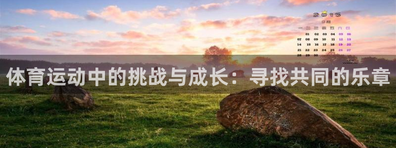 77体育官网