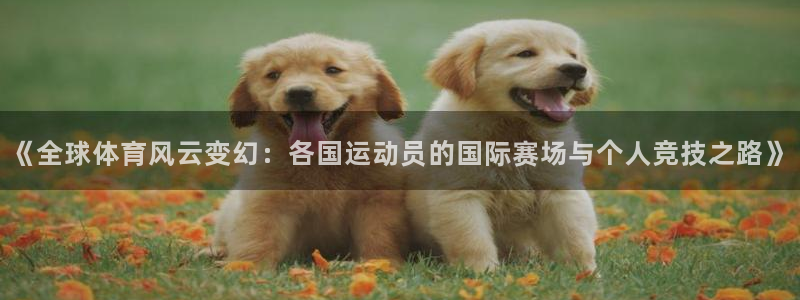 77体育官网