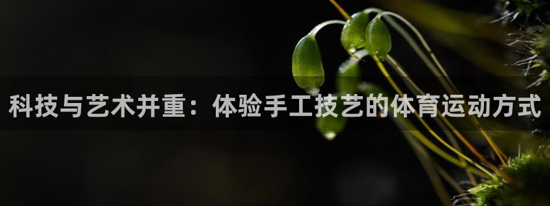 77体育官网