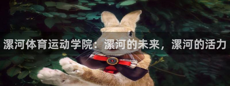 77体育官网：漯河体育运动学院：漯河的未来，漯河的活力