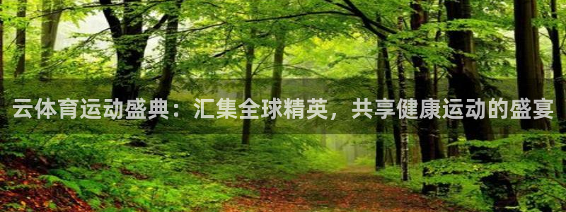 77体育官网