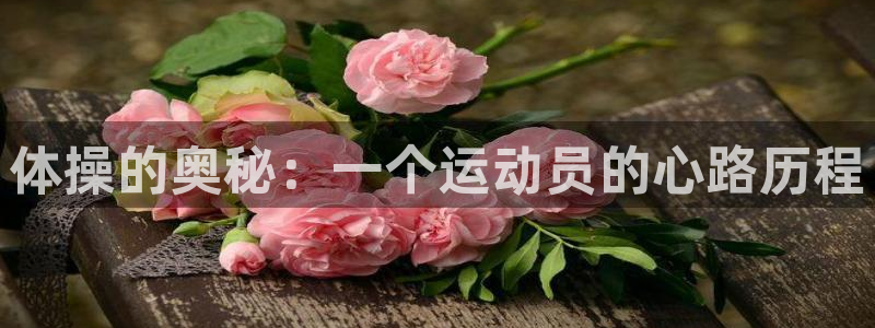 77体育app下载官网：体操的奥秘：一个运动员的心路历程