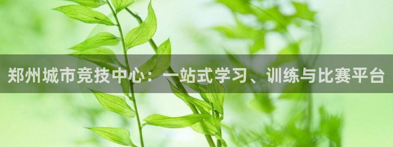 77体育官网
