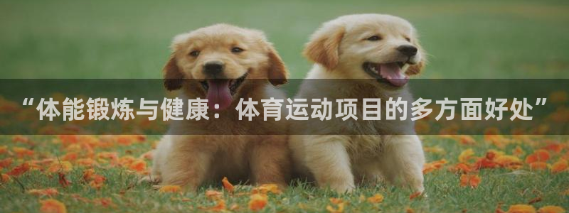 77体育：“体能锻炼与健康：体育运动项目的多方面好处”