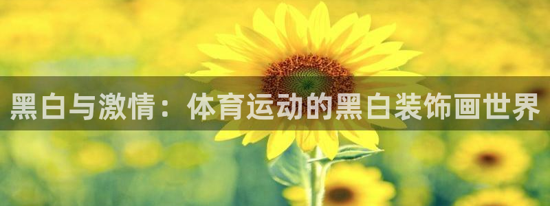 77体育app下载官网：黑白与激情：体育运动的黑白装饰画世界